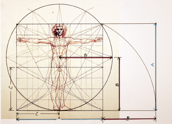 Vitruvian Man Drawing after Leonardo da Vinci by Jose De Jesus